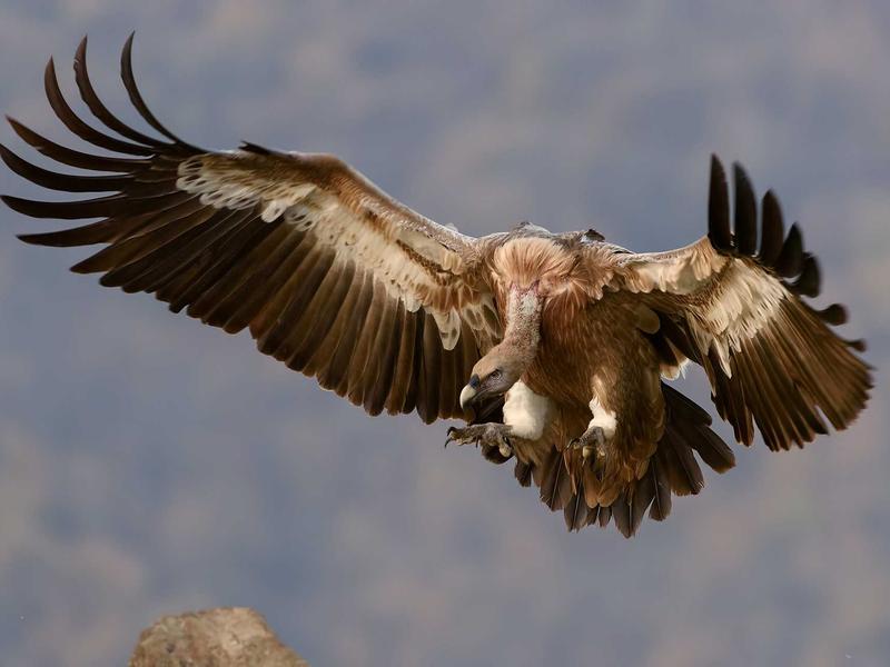 精神离职<br>yxepqio.cn 职场摸鱼艺术